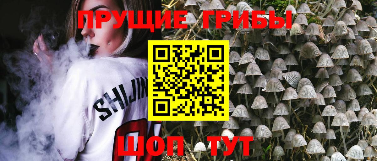 Псилоцибиновые грибы Cubensis  Вход с VPN  Новый Уренгой 