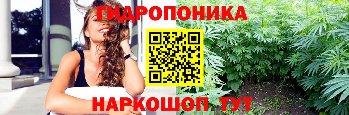 Каннабис планчик  Канабис LSD WEED  Марихуана Ganja  Шишки марихуана индика  Вход с VPN  Новый Уренгой 